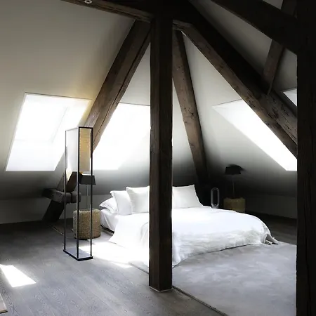 Le Bijou Lq80 Penthouse With Terrace Zurich