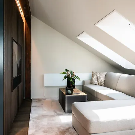 Le Bijou Lq80 Penthouse With Terrace Zurich