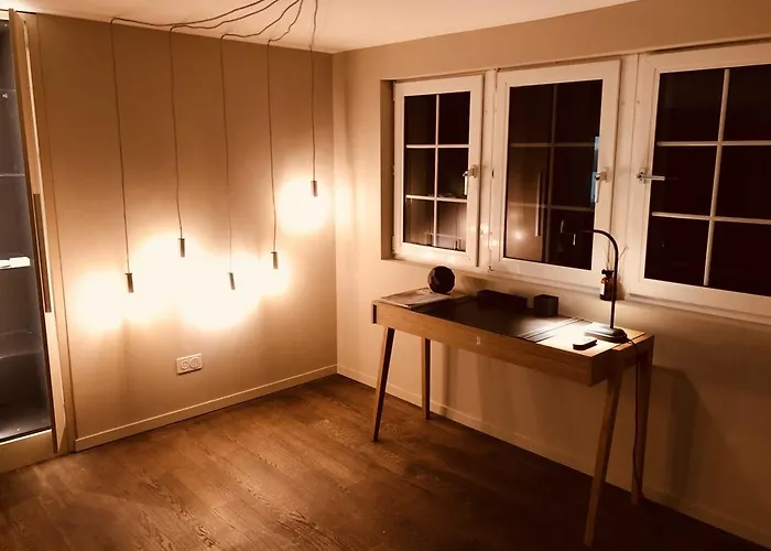 Le Bijou Lq80 Penthouse With Terrace チューリッヒ