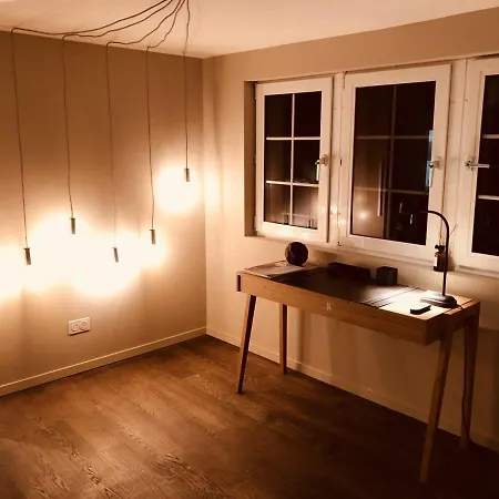 Le Bijou Lq80 Penthouse With Terrace Zürich